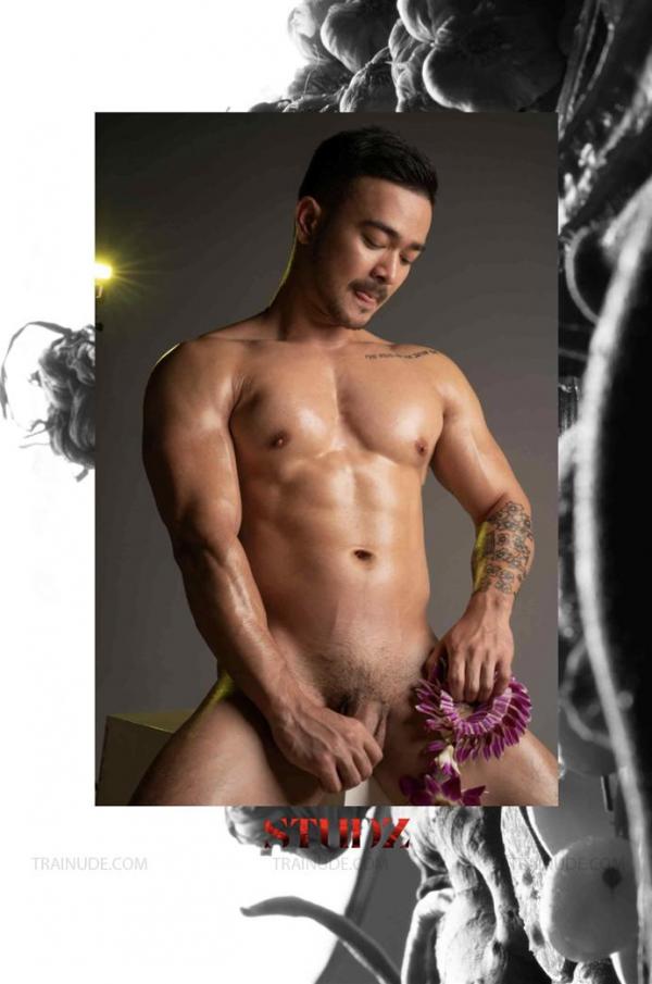 STUDZ-01--Zesty--Ebook--Video-